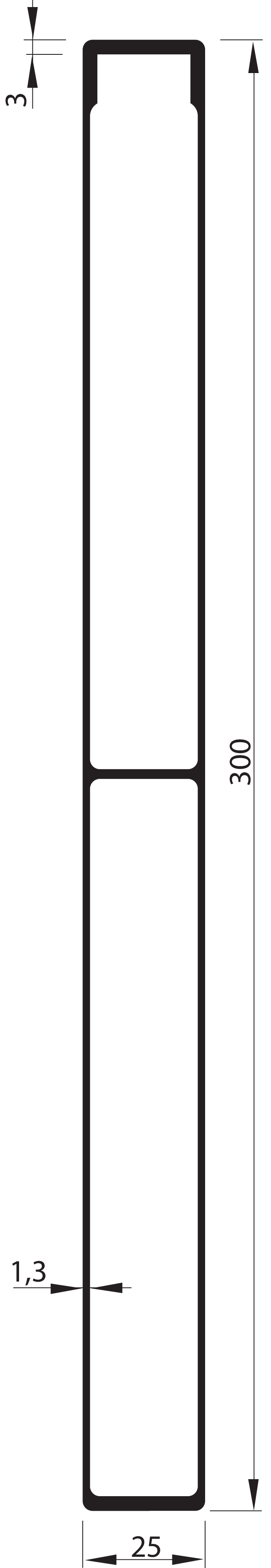 SEIN Profil 300 mm ohne Anschlag