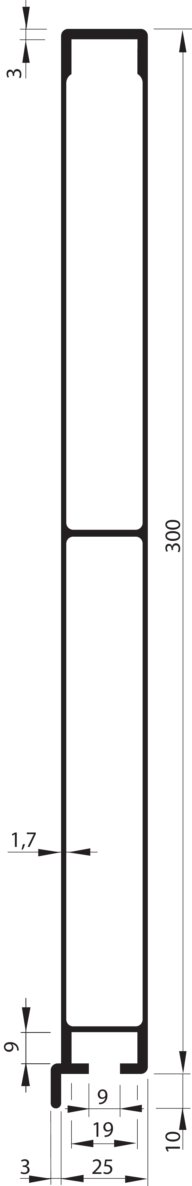 SEIN Profil 300 mm mit Anschlag