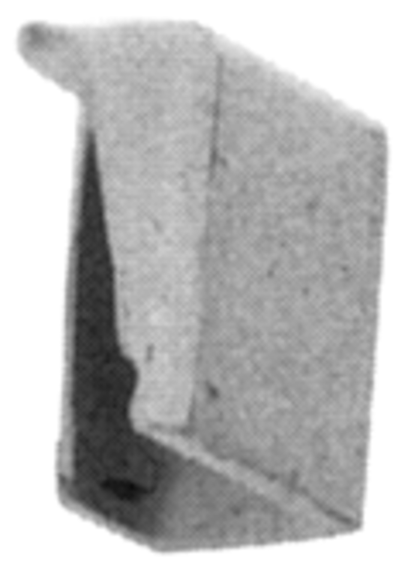 Rungentasche roh re..zum Anschweißen